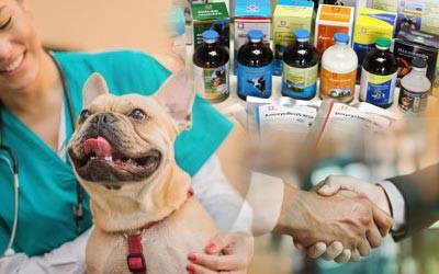 Best Veterinary PCD Pharma Company In India